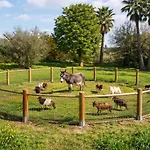 De Santis Relax E Natura