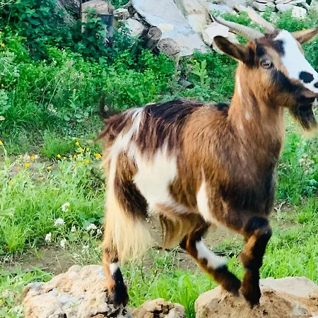 De Santis Relax E Natura Gallipolli