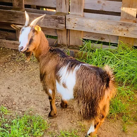 De Santis Relax E Natura Apartamento Gallipoli