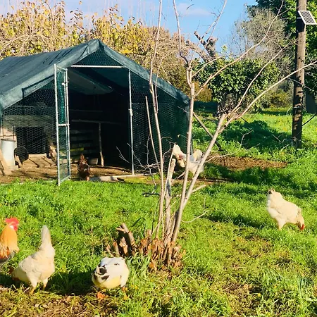 Lägenhet De Santis Relax E Natura