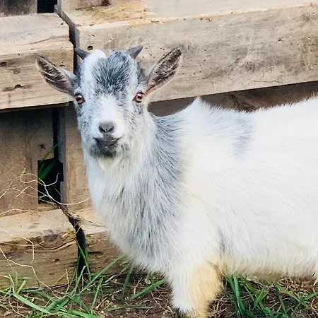 De Santis Relax E Natura * Gallipoli