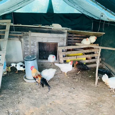 Apartament De Santis Relax E Natura