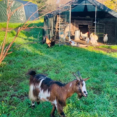 De Santis Relax E Natura Lägenhet Gallipolli